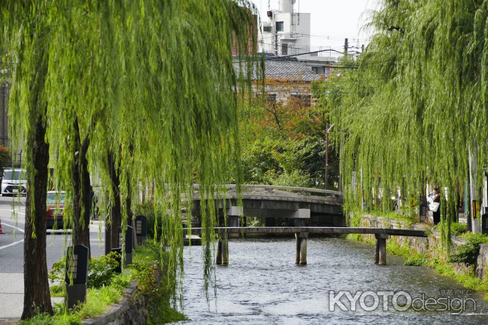 柳と一本橋