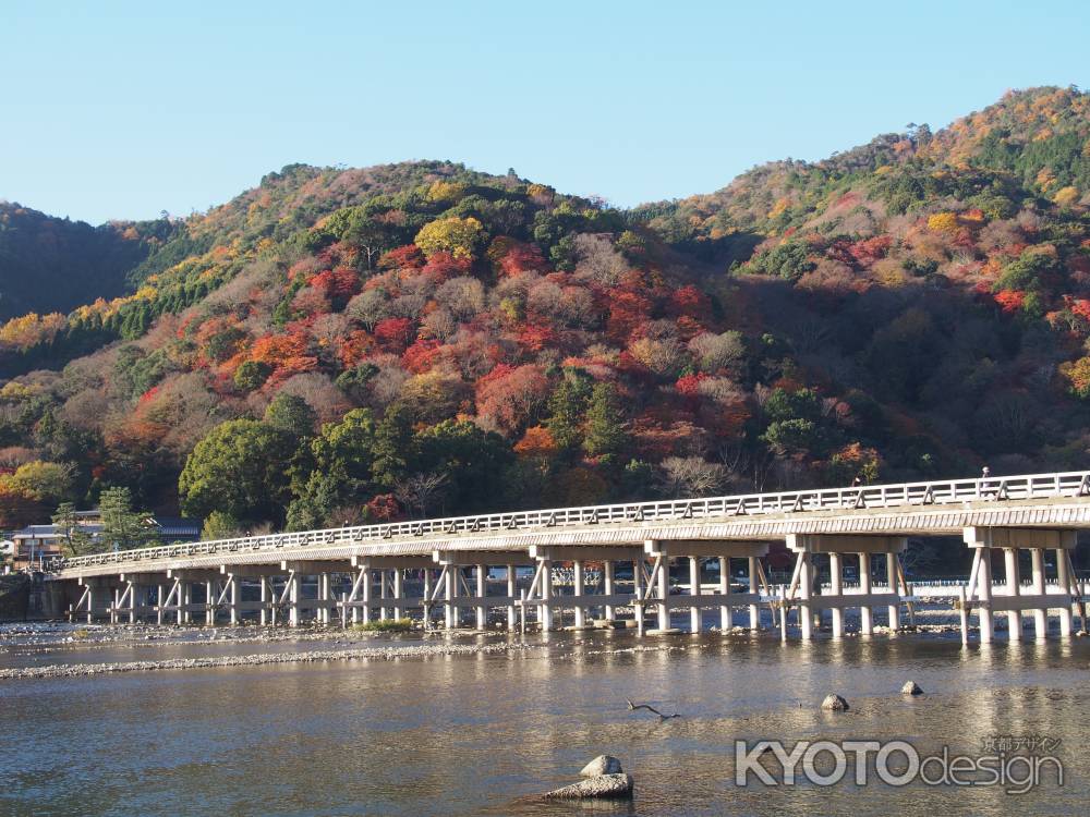 紅葉の錦、着ぬ人ぞ…