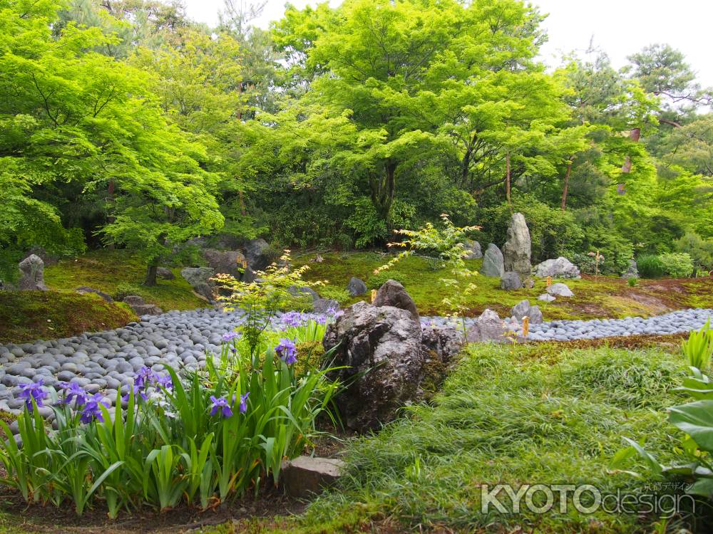 初夏の装い、煌めく緑とともに