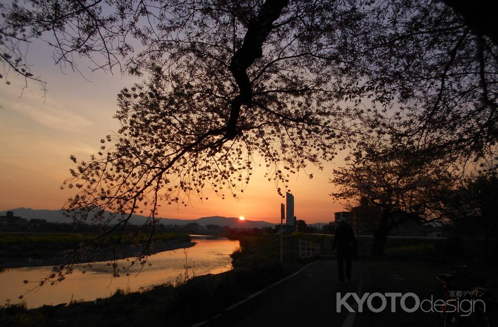 夜明けの桂川