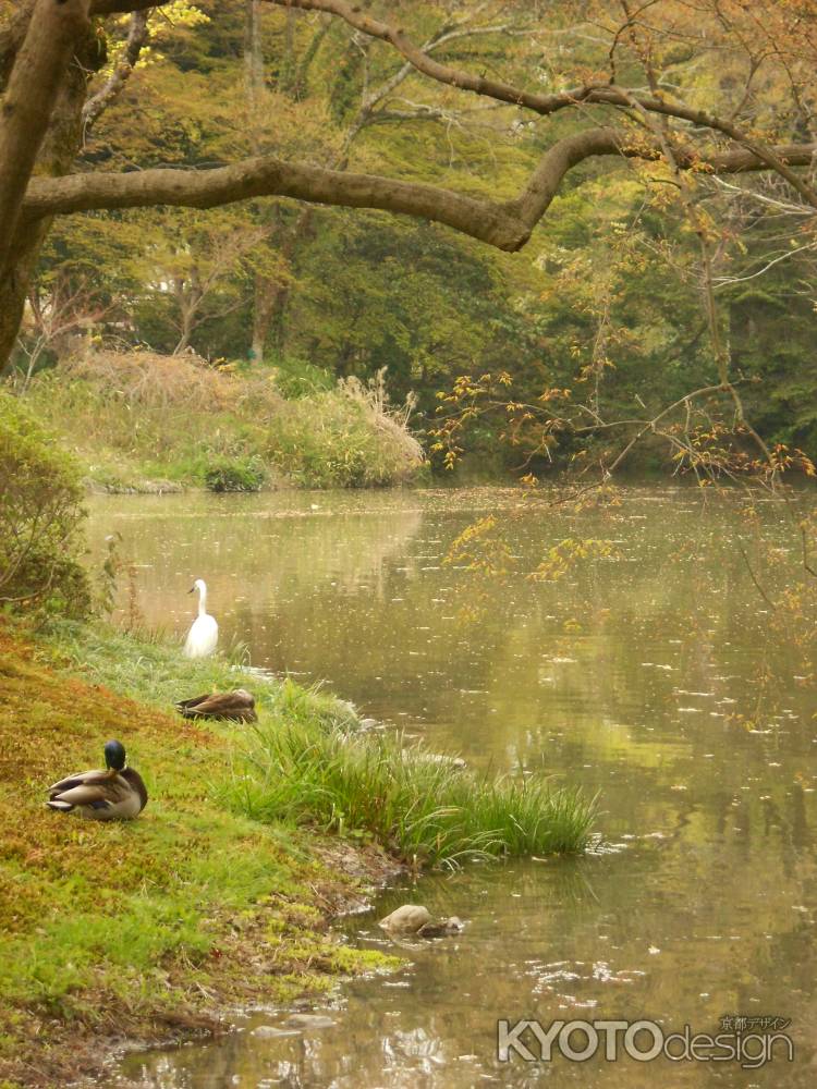 春の日の水辺