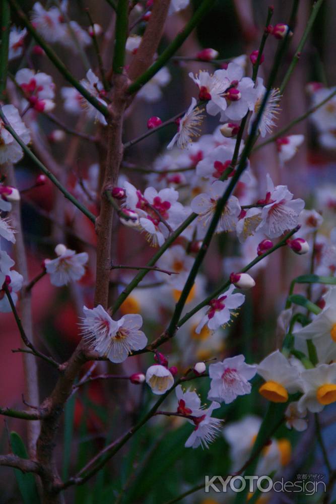 華やぐ夕暮れ