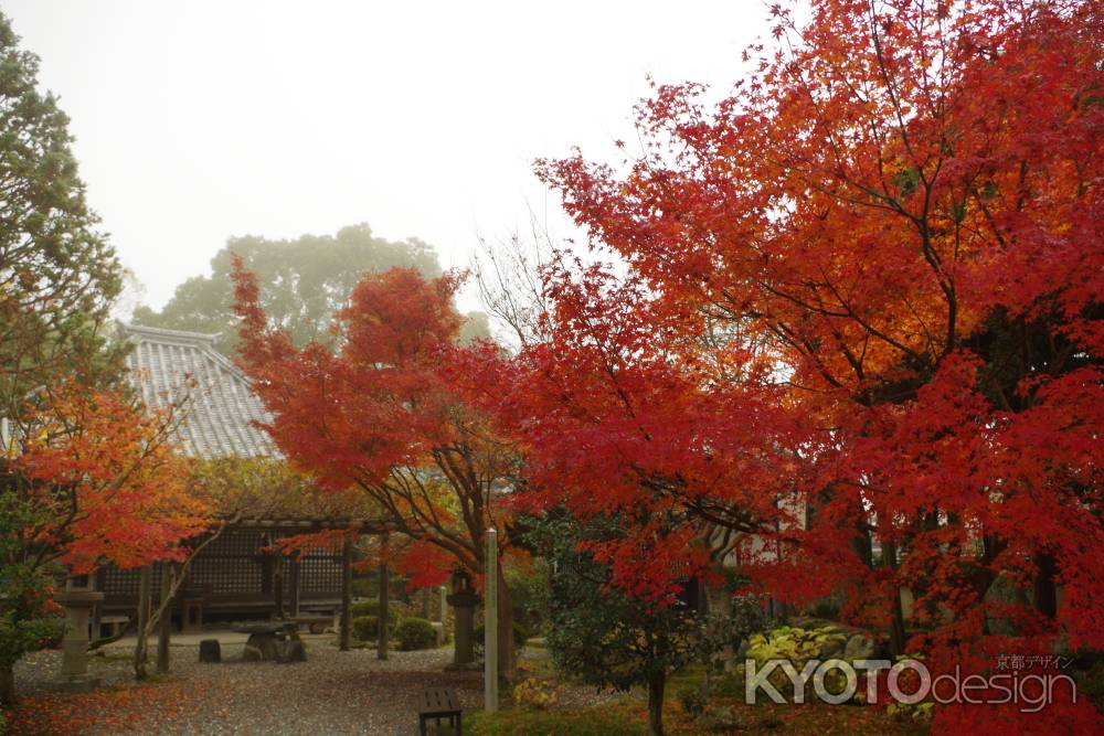 霧の穴太寺