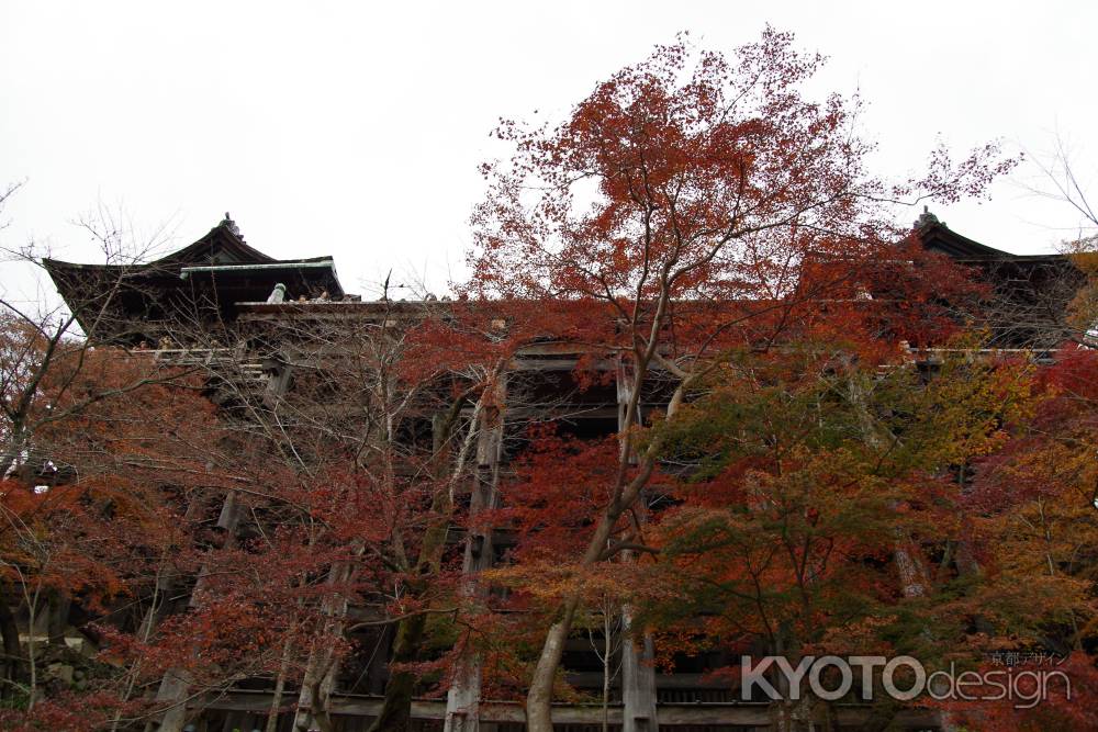 清水寺 舞台を見上げる