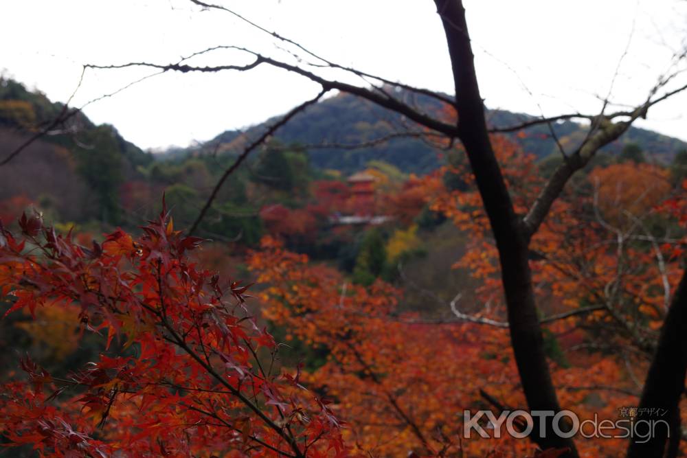 清水寺