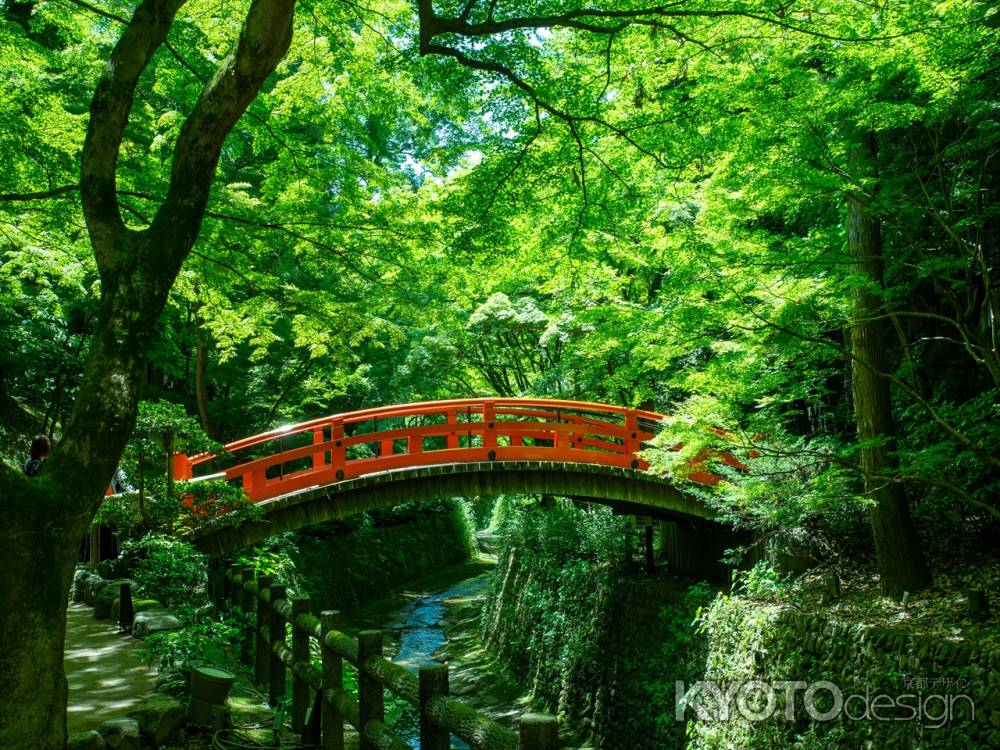 北野天満宮 御土居　青紅葉　