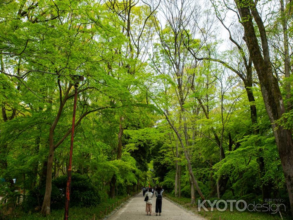 賀茂御祖神社　表参道