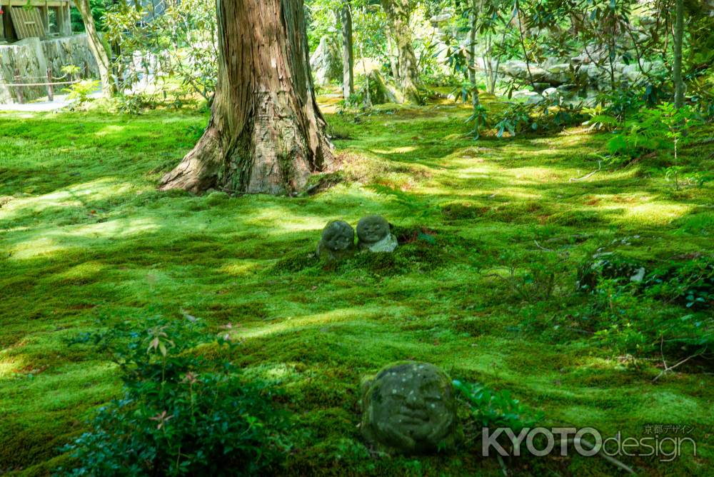 紫蘇里のパワーの源