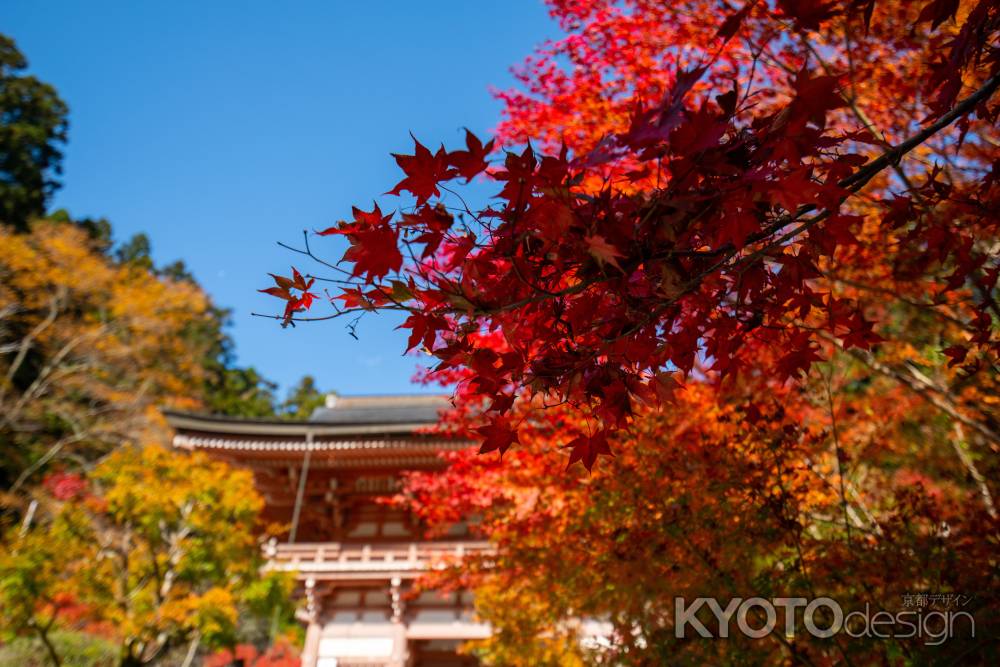 鞍馬寺にて　1