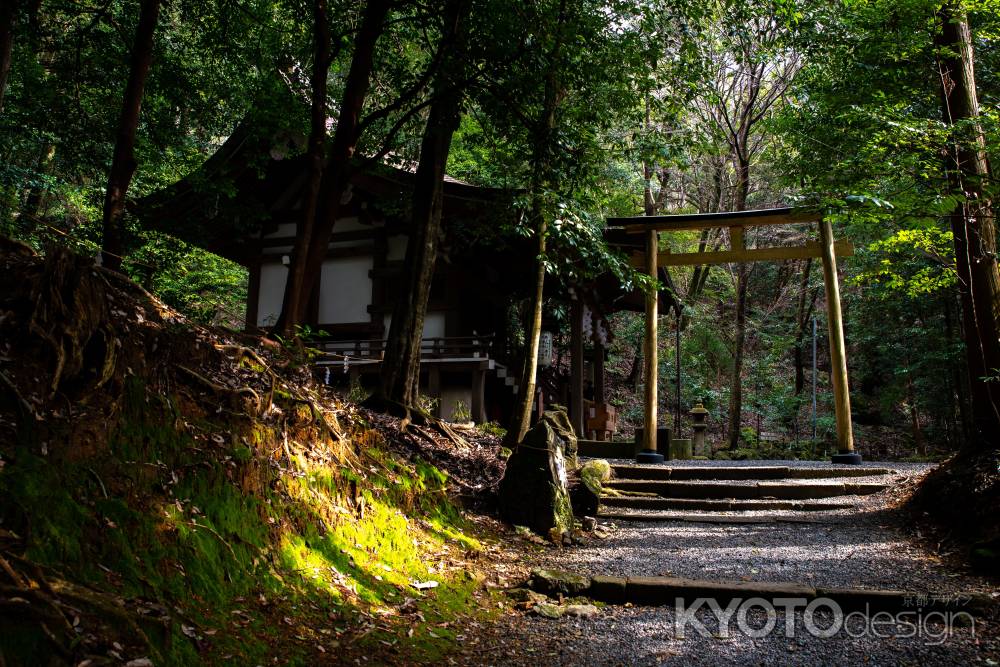 出雲大神宮 其の1