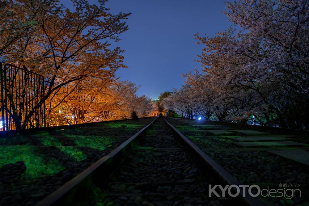 夜の蹴上インクライン