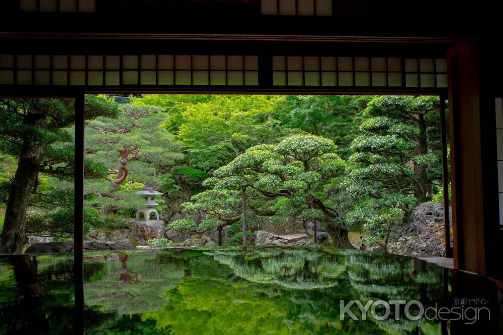 花梨のテーブル風景