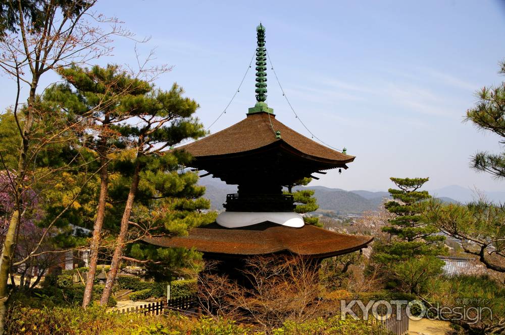 常寂光寺多宝塔2