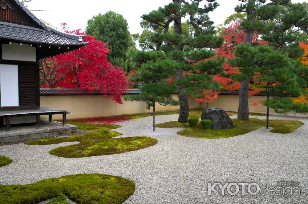 廬山寺　源氏庭の紅葉