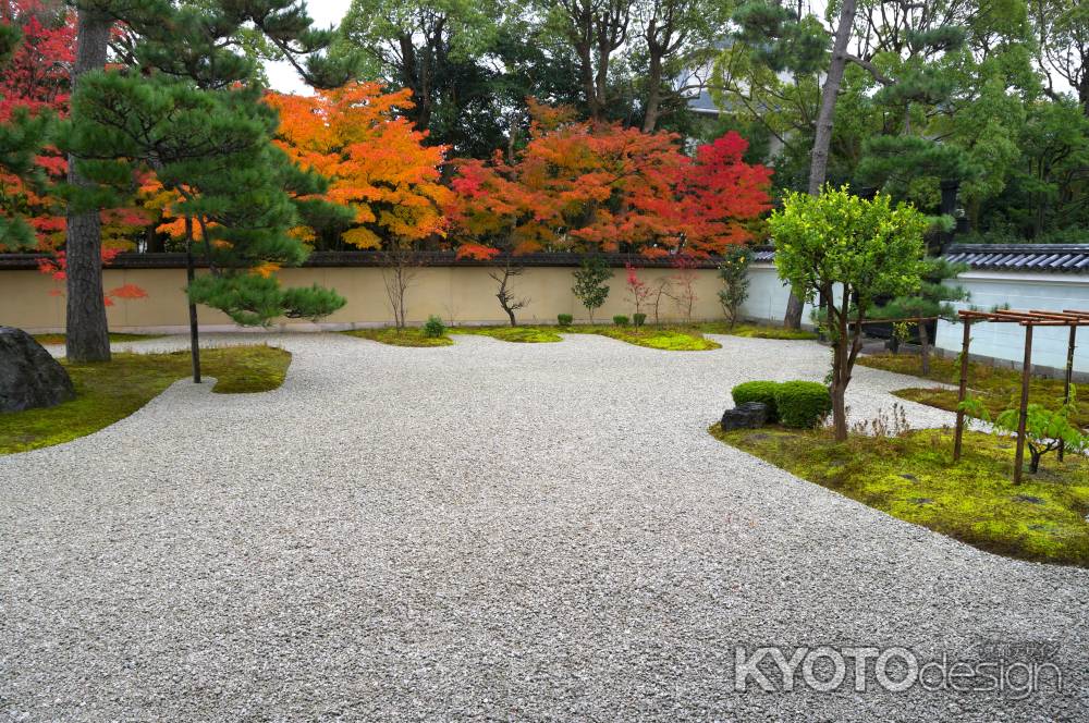 廬山寺　源氏庭の紅葉2