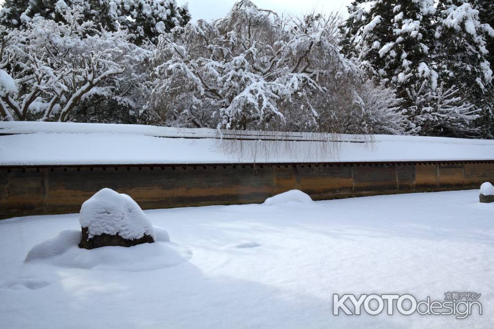 冬の龍安寺方丈庭園2