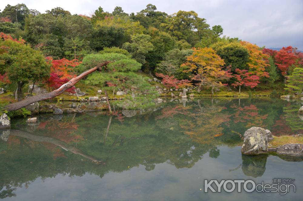 天龍寺　曹源池庭園の紅葉2