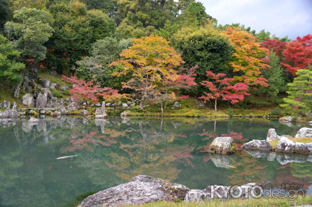 天龍寺　曹源池庭園の紅葉3