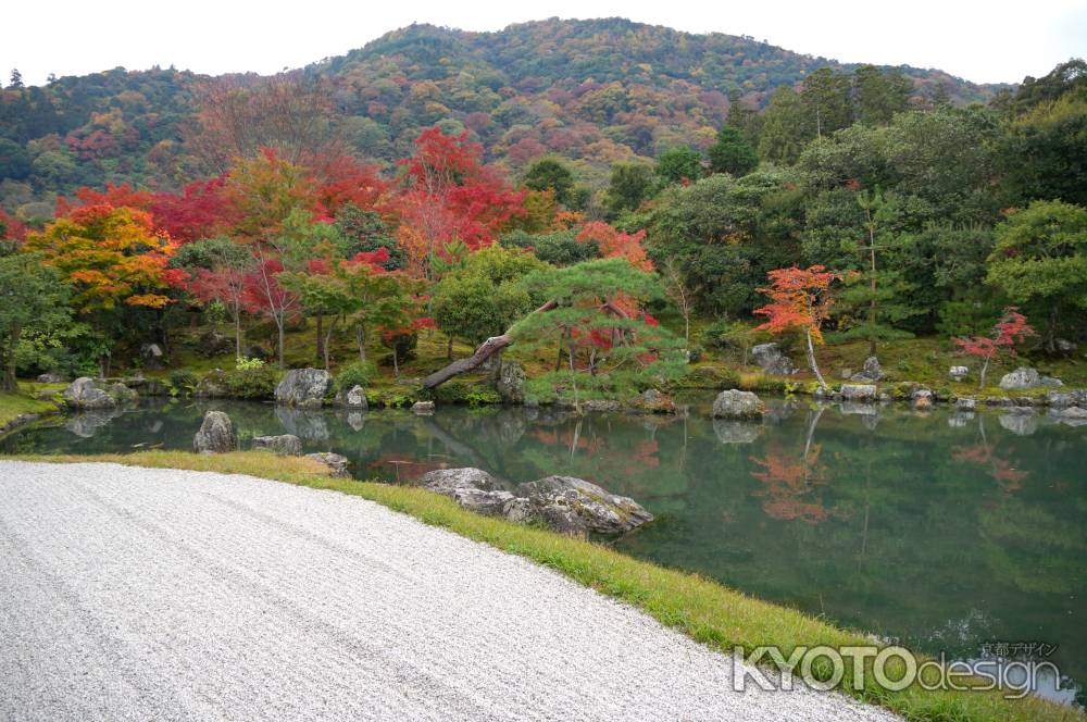 天龍寺　曹源池庭園の紅葉7