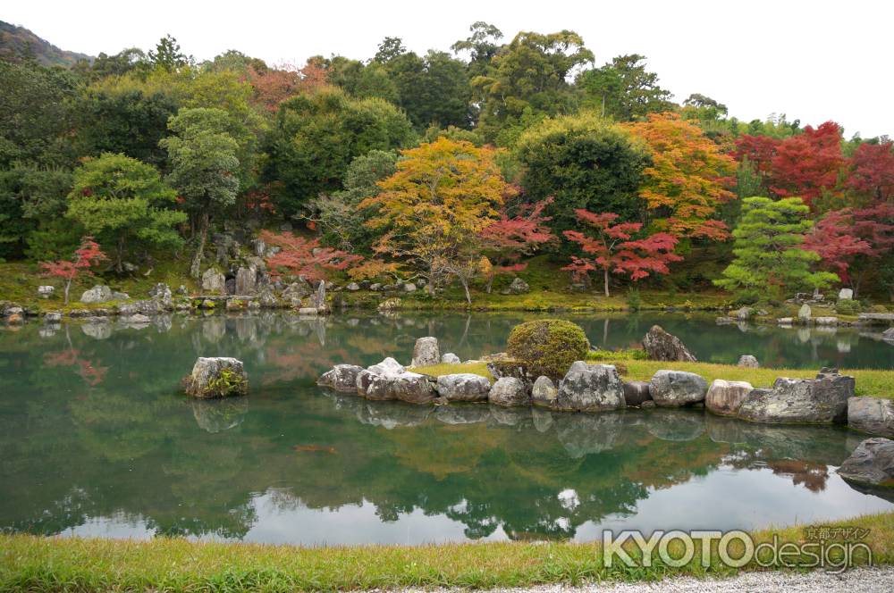 天龍寺　曹源池庭園の紅葉8