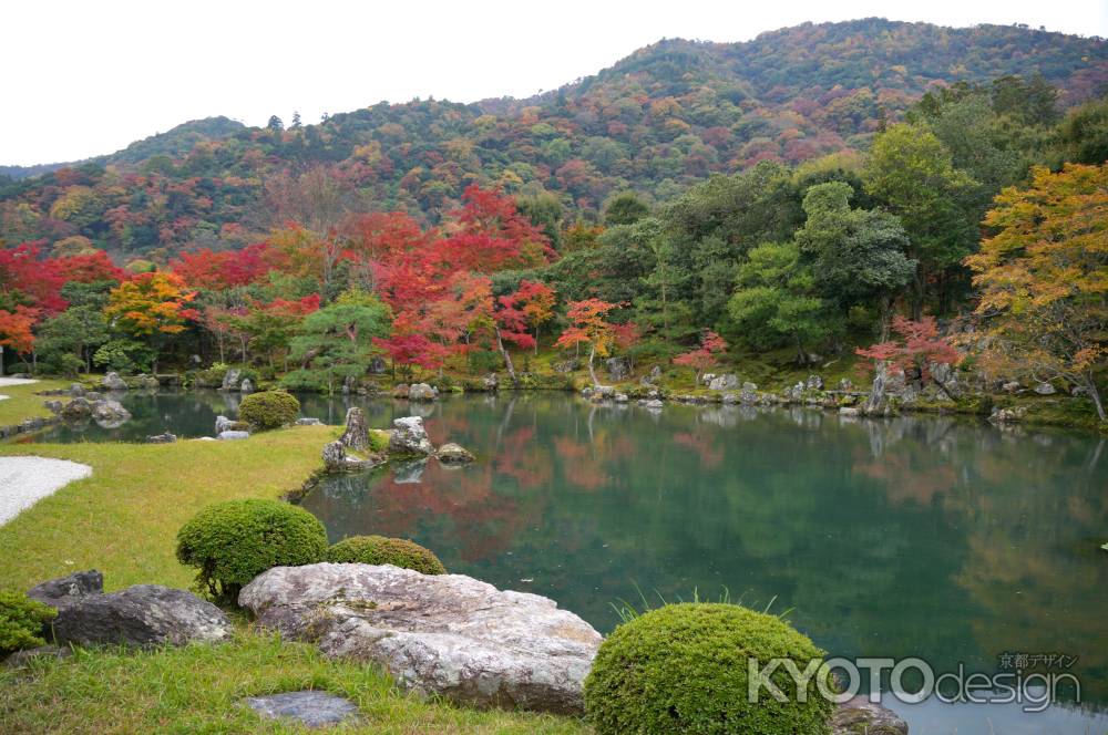 天龍寺　曹源池庭園の紅葉10