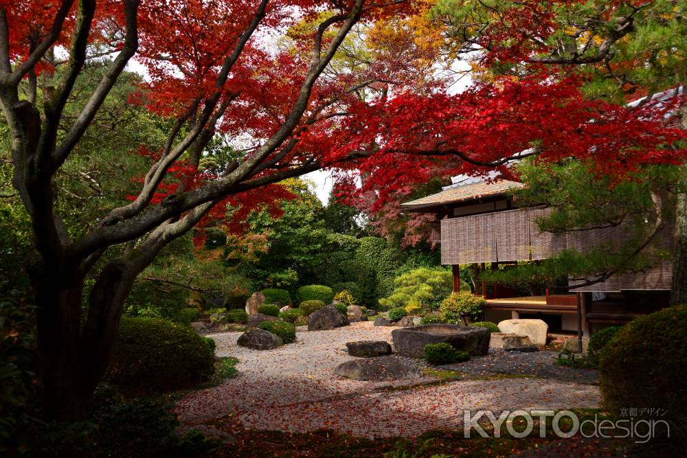 御香宮神社の紅葉2