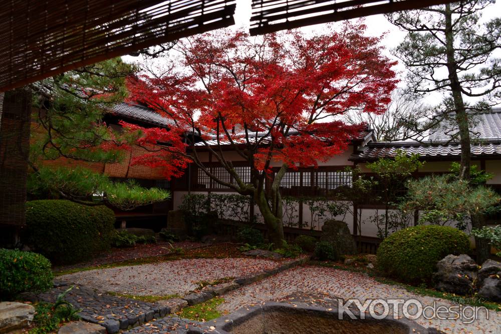 御香宮神社の紅葉3