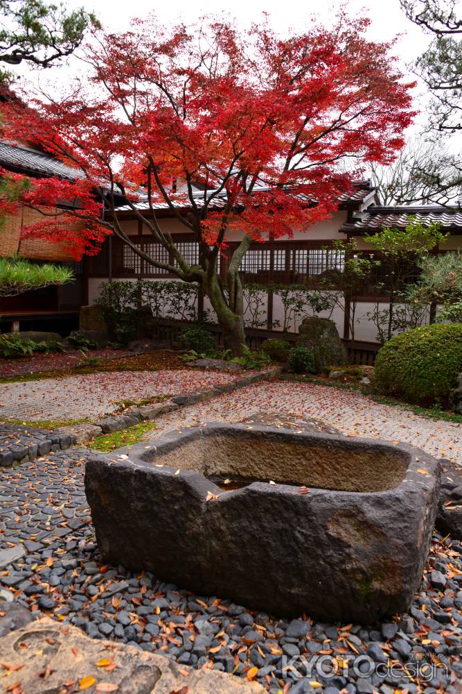 御香宮神社の紅葉4