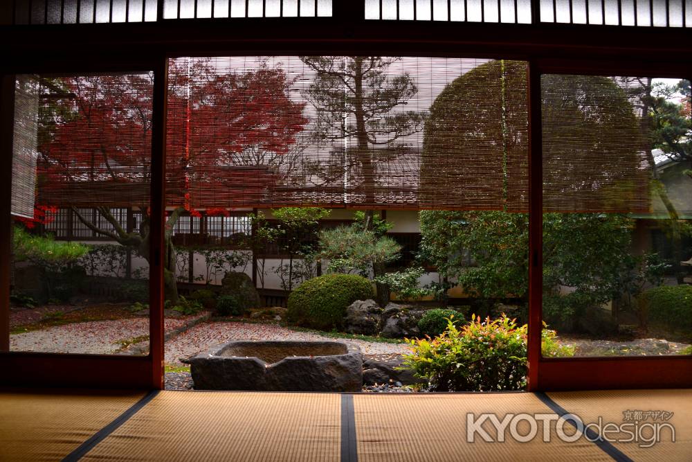 御香宮神社の紅葉5