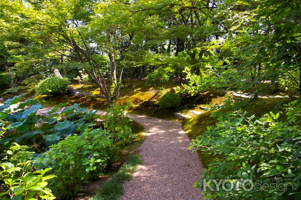 法金剛院庭園