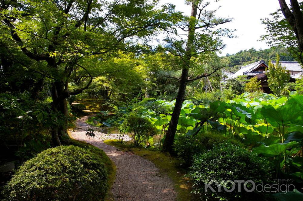 法金剛院庭園3