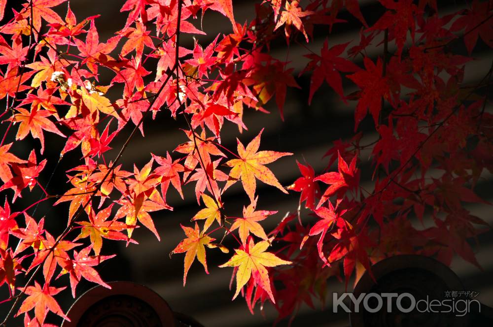 西明寺の紅葉2