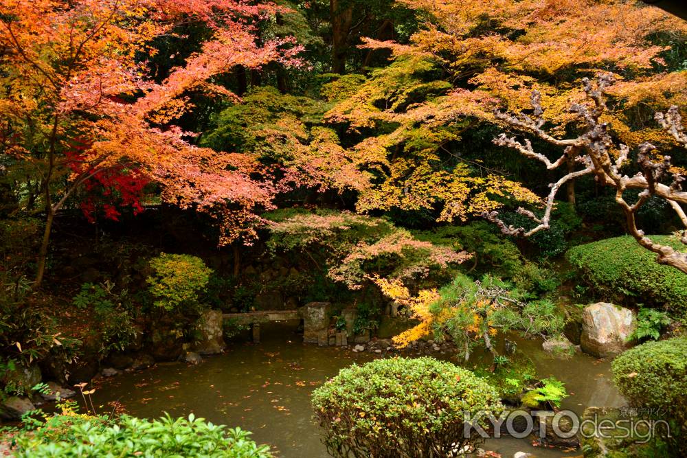 長楽寺庭園の紅葉6