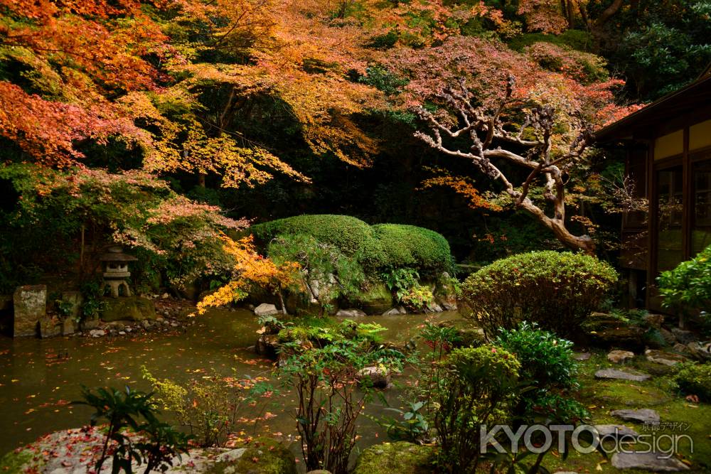 長楽寺庭園の紅葉2