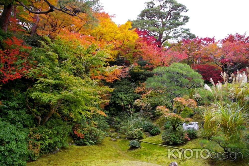 大河内山荘の紅葉