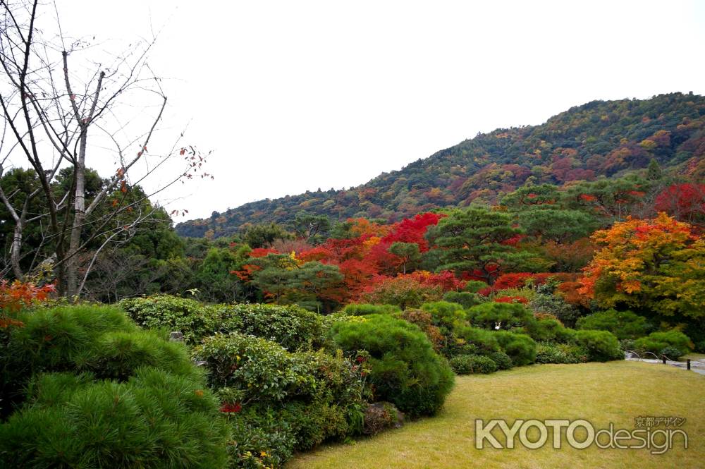 大河内山荘の紅葉4