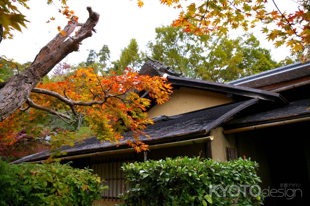 大河内山荘の紅葉5