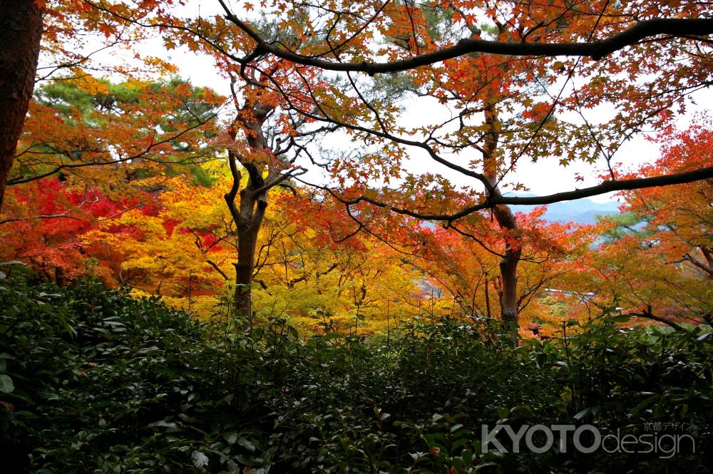 大河内山荘の紅葉7