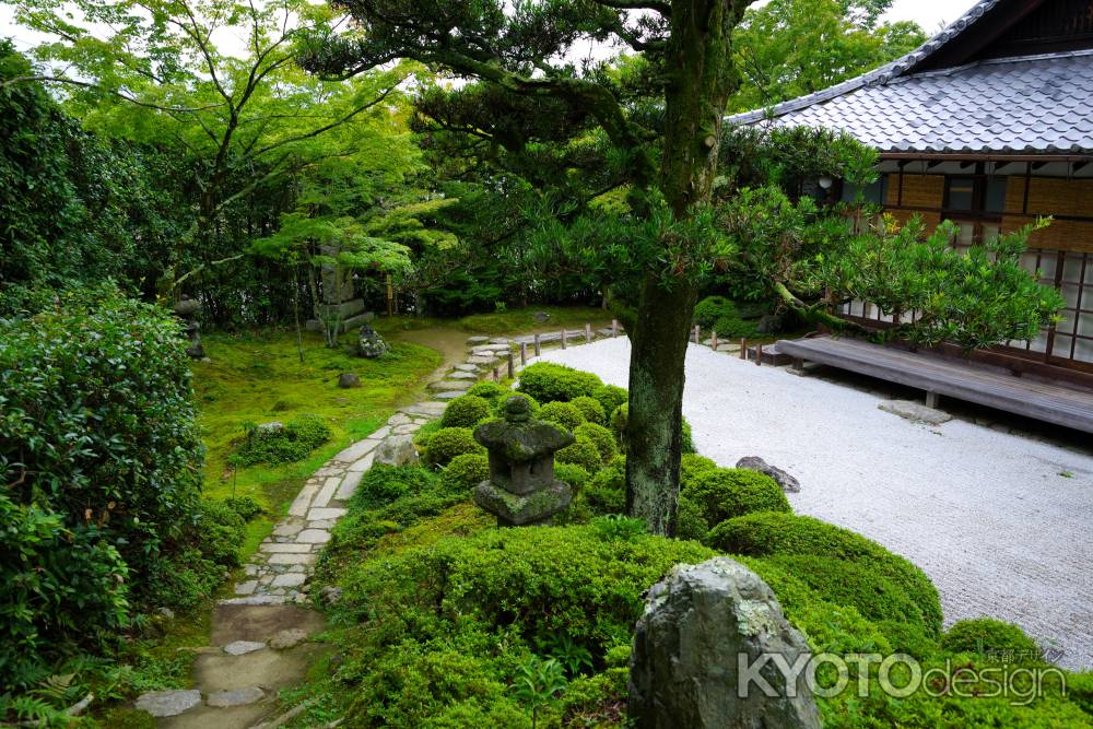 夏の金福寺庭園7