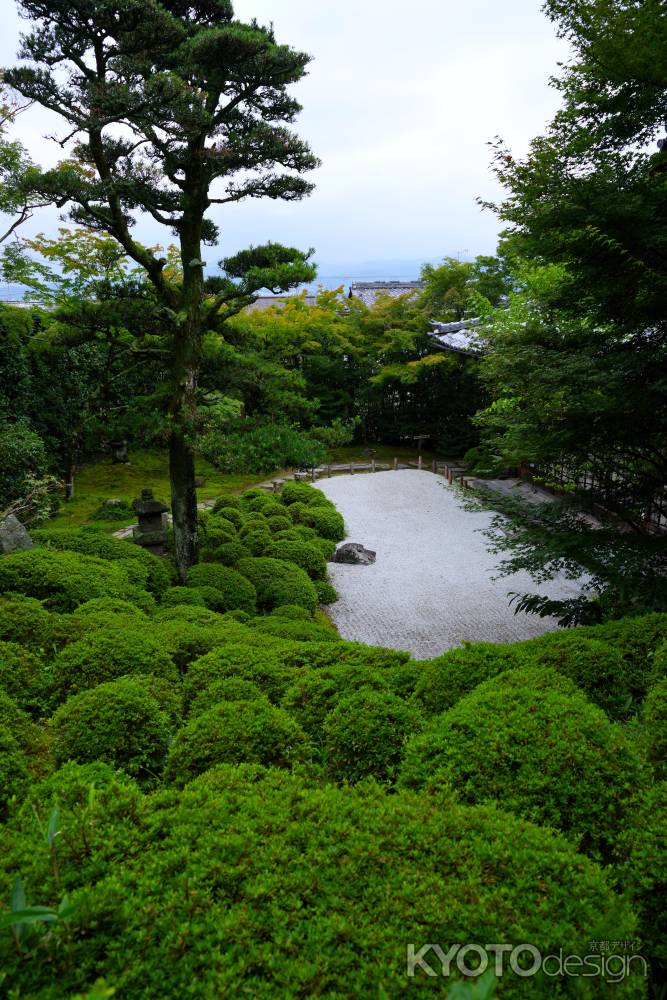 夏の金福寺庭園9