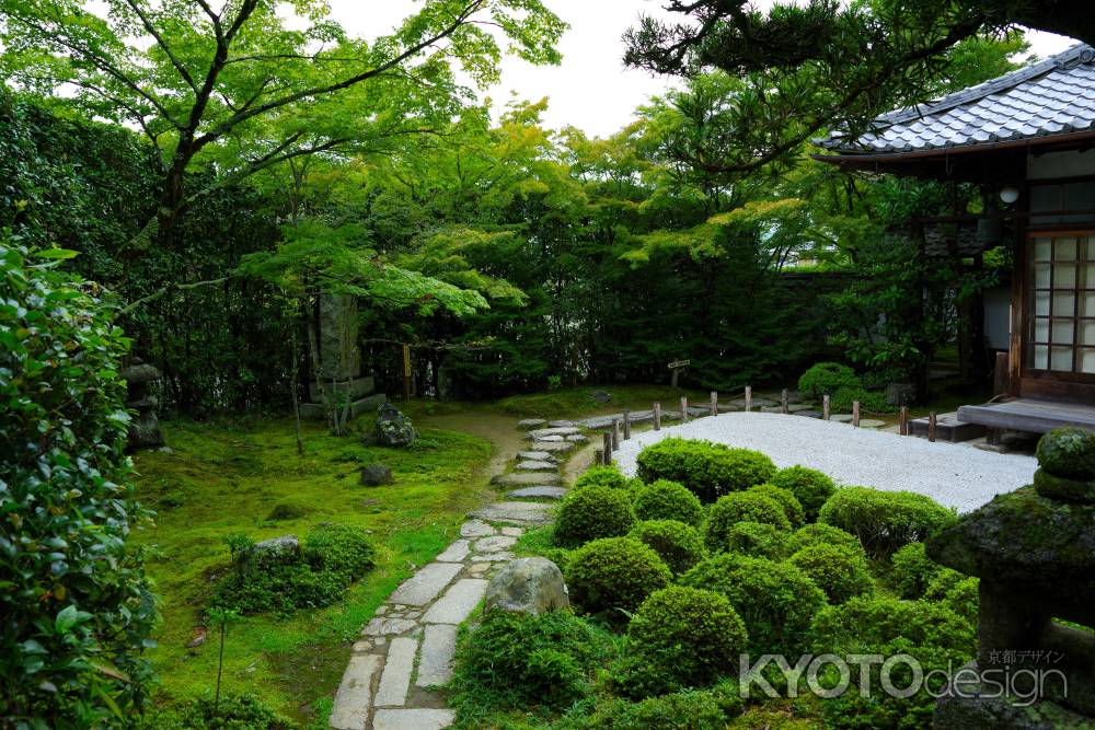 夏の金福寺庭園10