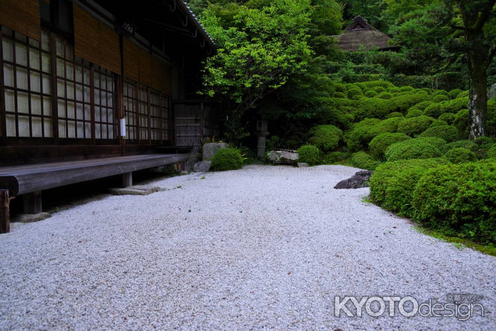 夏の金福寺庭園11