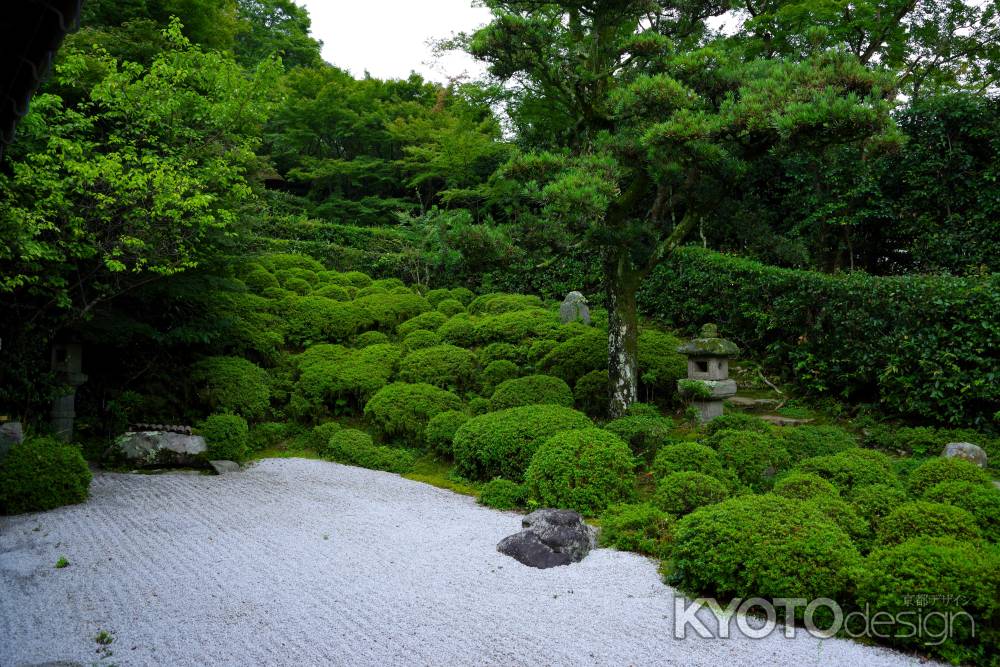 夏の金福寺庭園12