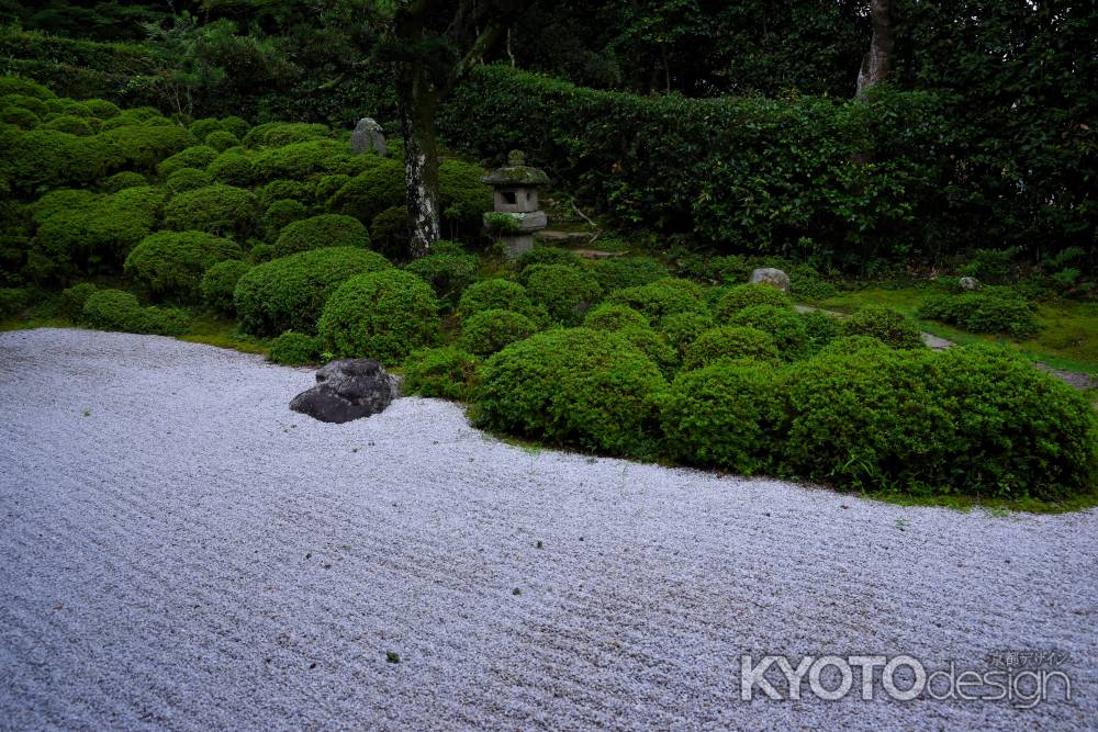 夏の金福寺庭園13