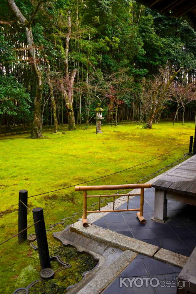 冬の高桐院庭園3