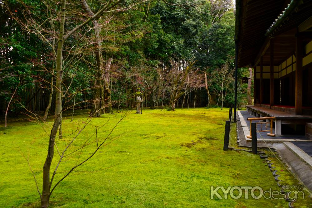 冬の高桐院庭園5