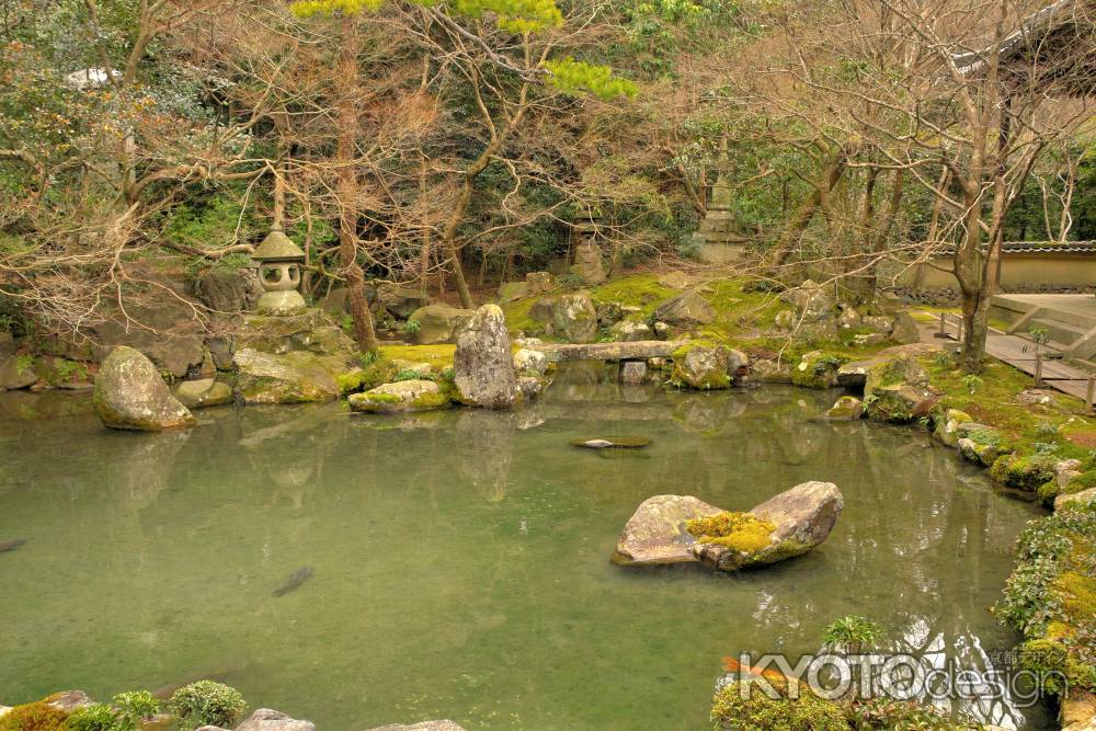 冬の蓮華寺庭園