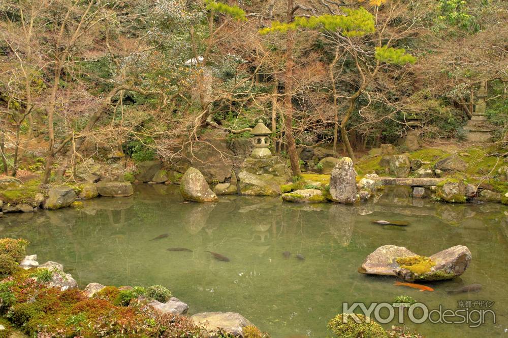 冬の蓮華寺庭園4