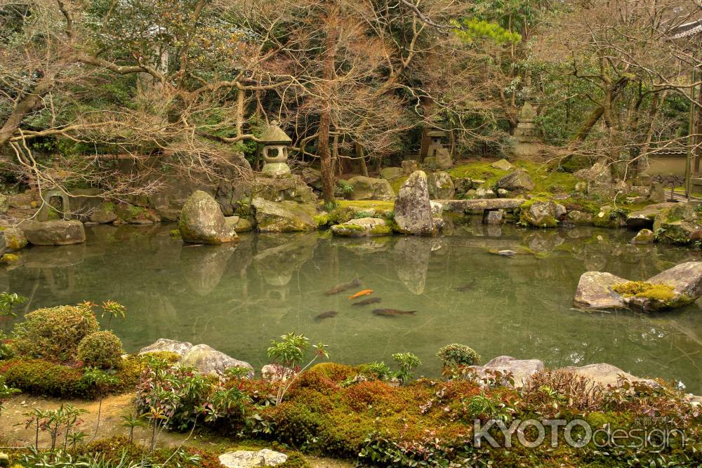 冬の蓮華寺庭園11