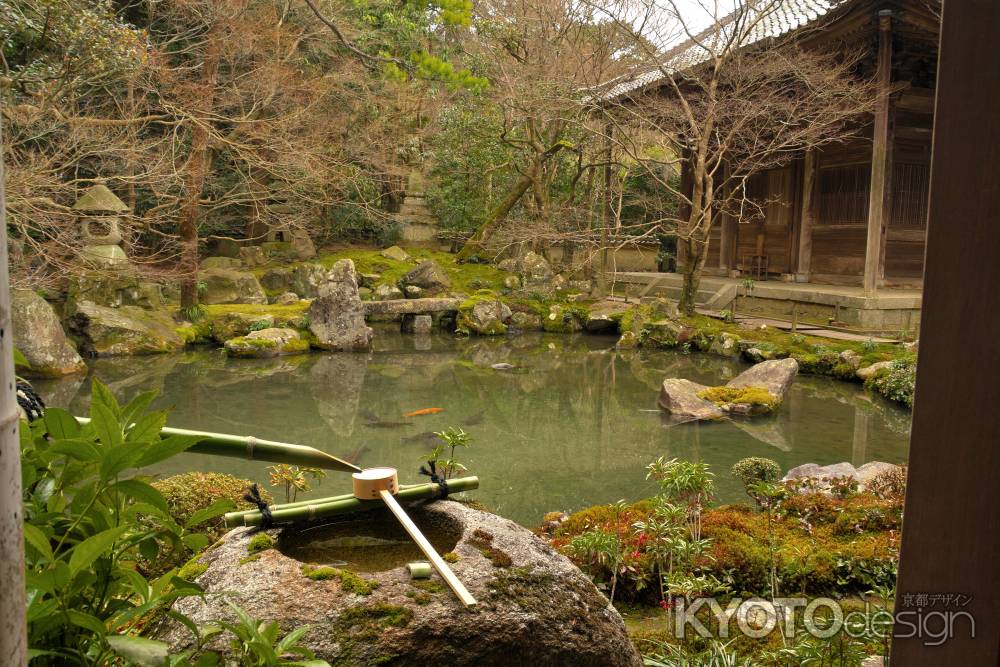 冬の蓮華寺庭園13